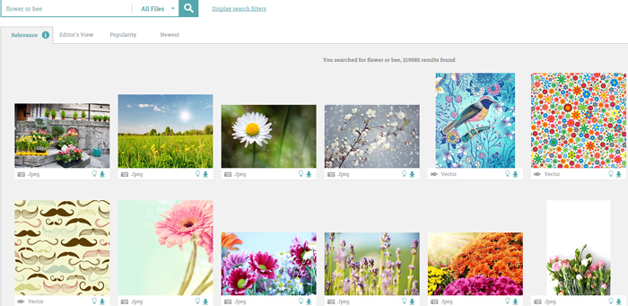 flower-or-bee-stock-images